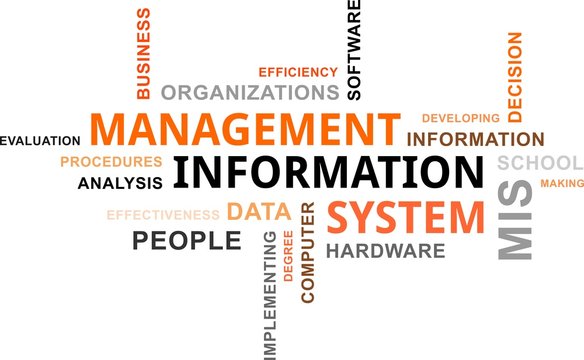 Management Information Systems_APD_2024