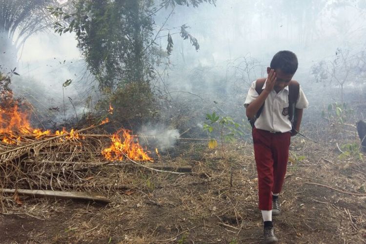 Penanganan Kebakaran Hutan dan Lahan 116