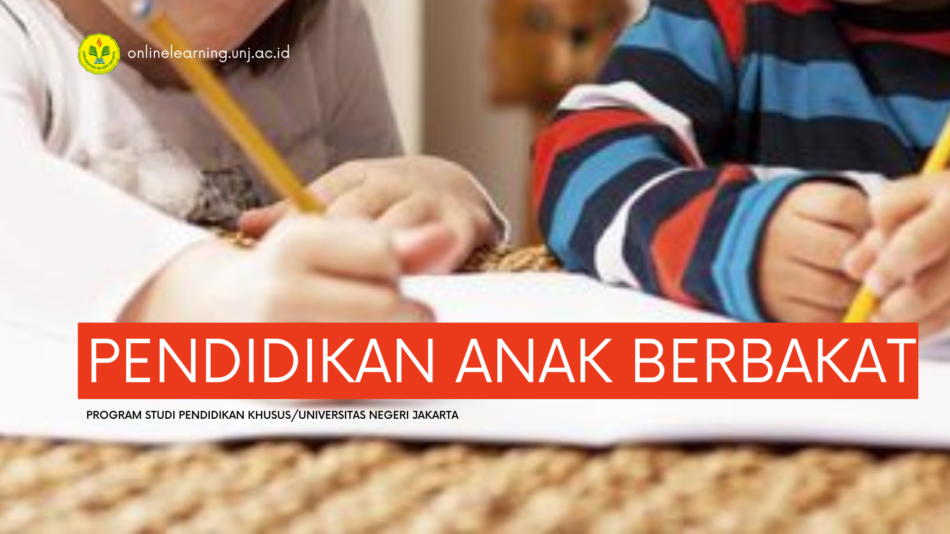 Pendidikan Anak Berbakat