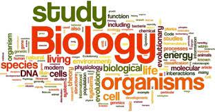 Bio Umum Pendidikan Biologi 115