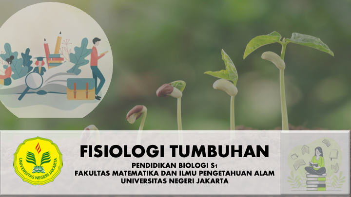 Summary Of Fisiologi Tumbuhan Pba19 Smt 118 3061